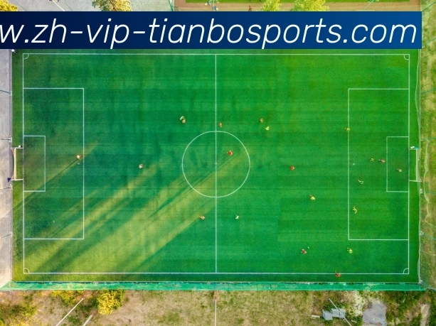 天博app发展历程